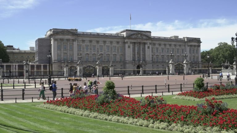 pexels-jr-bradbury-200025550-16387002