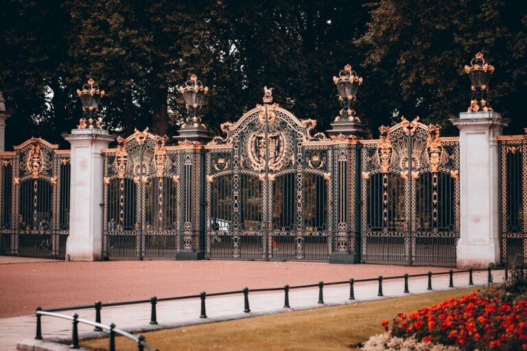 pexels-szymon-shields-1503561-9119593